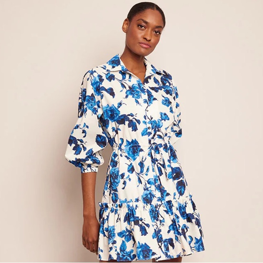 NWT!!! CARA CARA ROBIN DRESS | ALTHA STONE